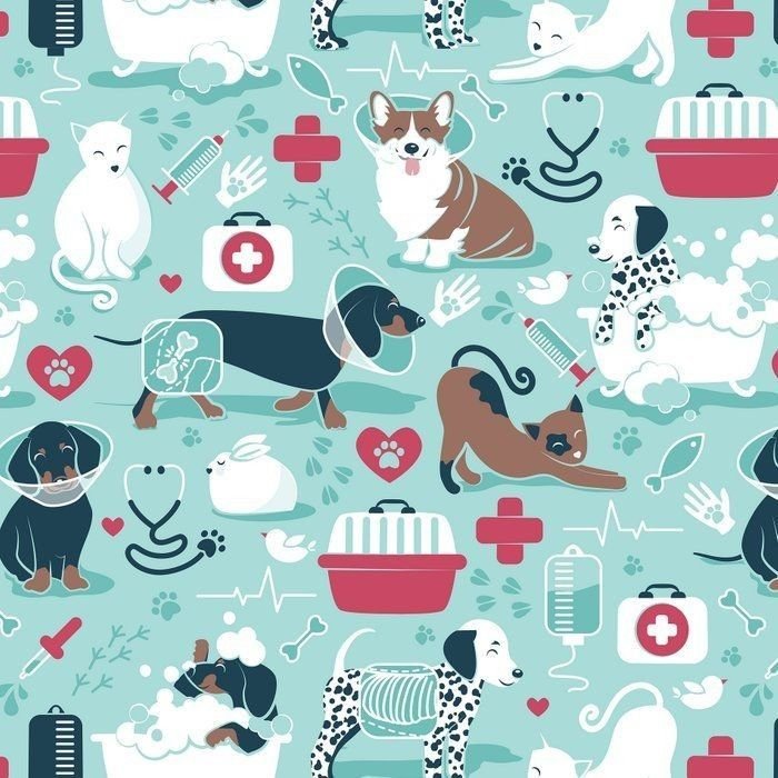 Hospitalización veterinaria